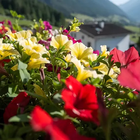 Haus Glueck Stubaital Daire *