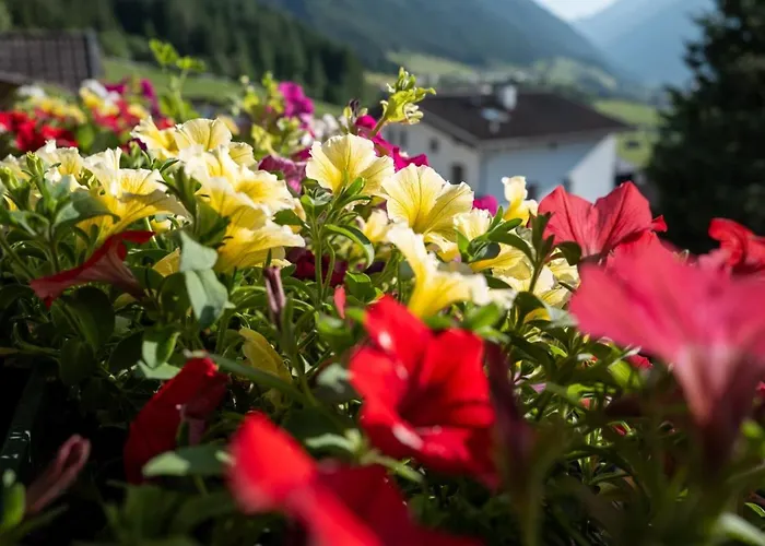 Haus Glueck Stubaital Апартаменты *